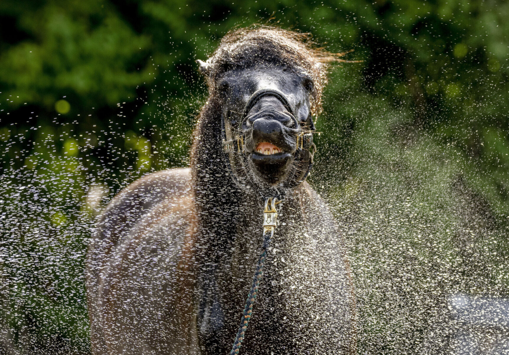 APTOPIX Germany Heat Wave